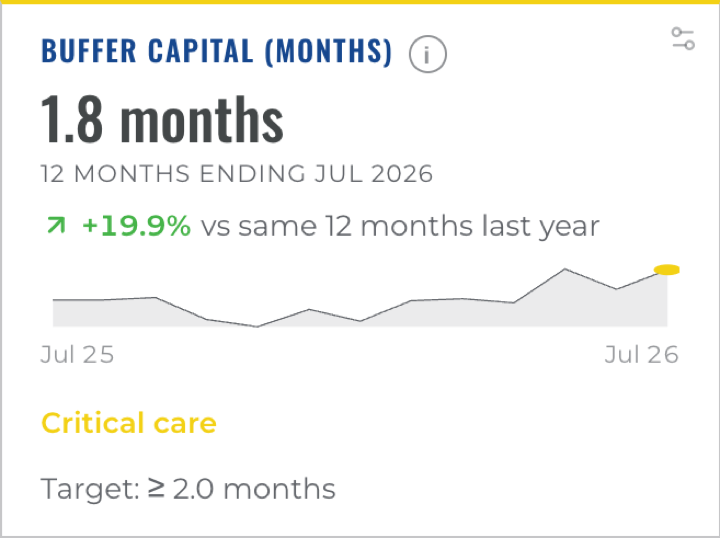 WinCFO Buffer Capital card